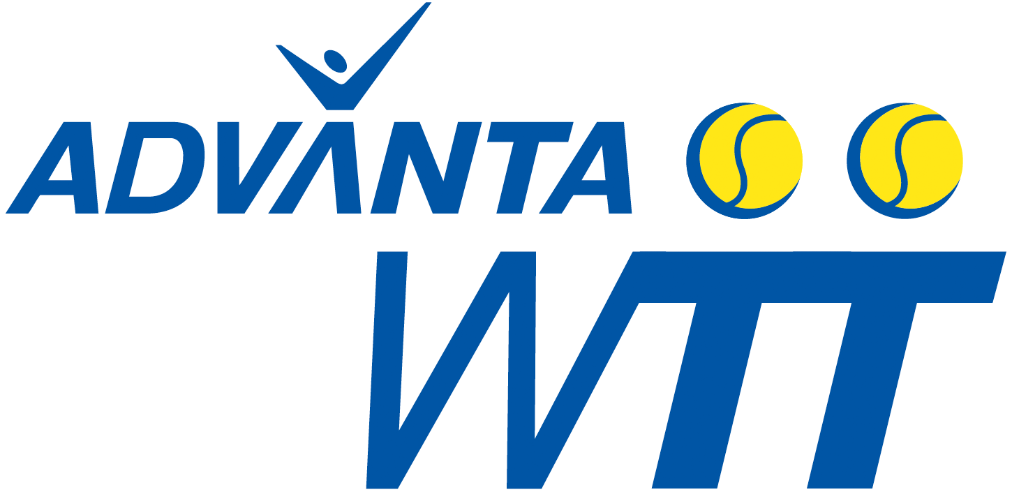 World TeamTennis 2008-2009 Primary Logo iron on paper